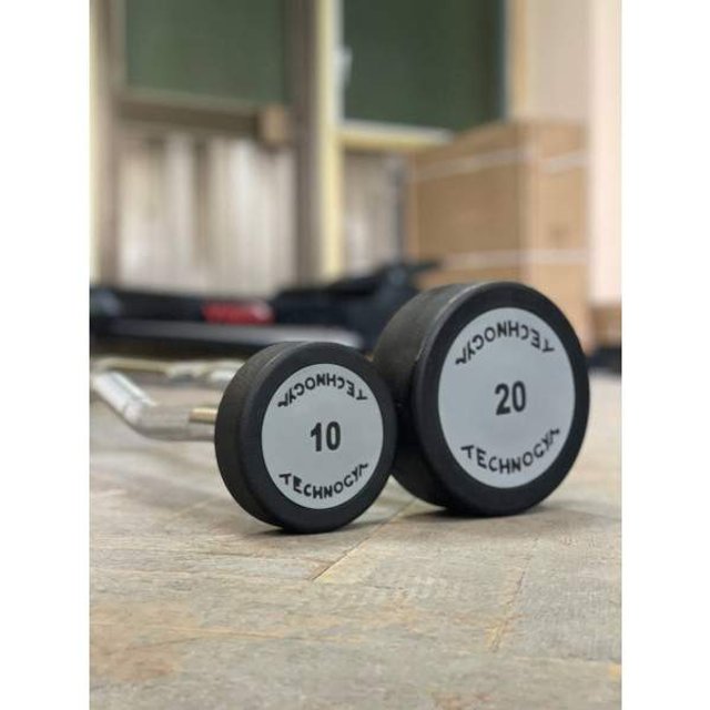 Штанга вигнута цілісна 20 кг Technogym TGW-20kg (2154099)
