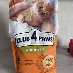 8002ab5b018e1ccc410dda3a4d838ef829f3185e.jpeg